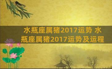 水瓶座属猪2017运势 水瓶座属猪2017运势及运程